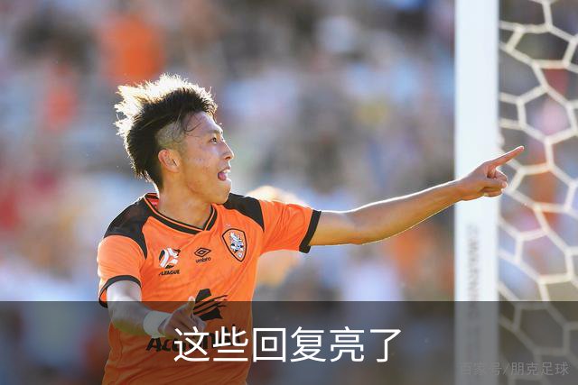 这些回复亮了